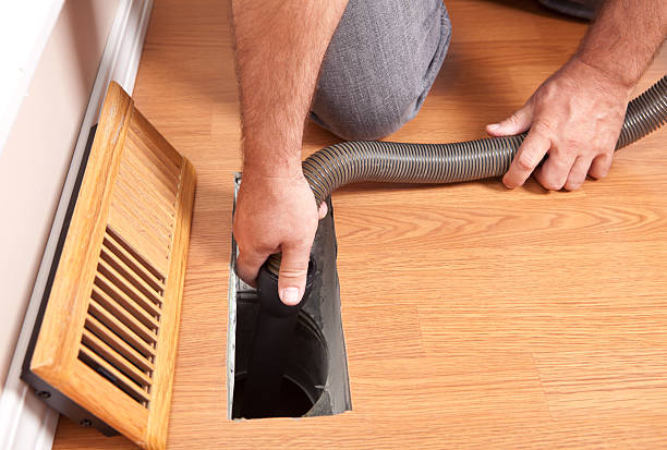 Best HVAC System Cleaning  in Hamilton, AL