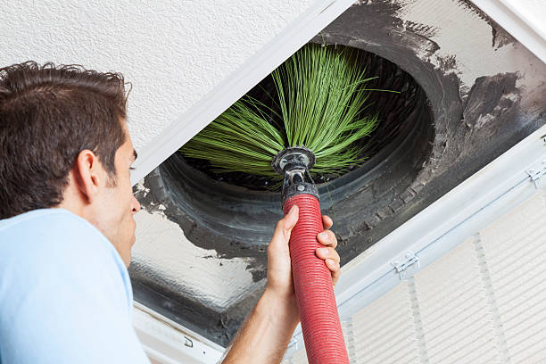 Best Air Duct Cleaning Near Me  in Hamilton, AL