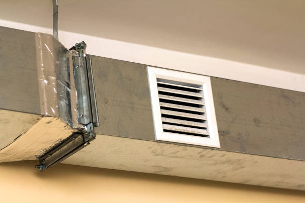 Best HVAC Air Duct Cleaning  in Hamilton, AL